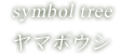 symbol tree ヤマボウシ