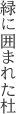 緑に囲まれた杜