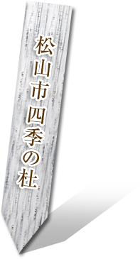 松山市 四季の杜