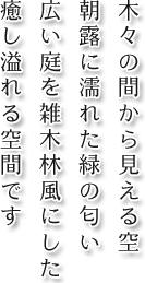 木々の間から見える空 朝露に濡れた緑の匂い 広い庭を雑木林風にした癒し溢れる空間です