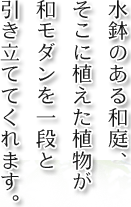 水鉢のある和庭、そこに植えた植物が和モダンを一段と引き立ててくれます。