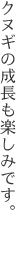 クヌギの成長も楽しみです。