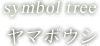 symbol tree ヤマボウシ
