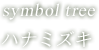 symbol tree ハナミズキ