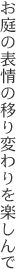 お庭の表情の移り変わりを楽しんで