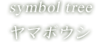 symbol tree ヤマホウシ