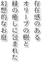 存在感のあるオリーブの樹と緑の癒しに包まれた幻想的なお庭