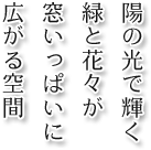 陽の光で輝く緑と花々が窓いっぱいに広がる空間