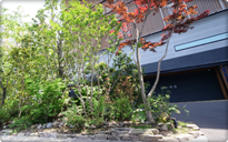 四季折々の花が咲く庭